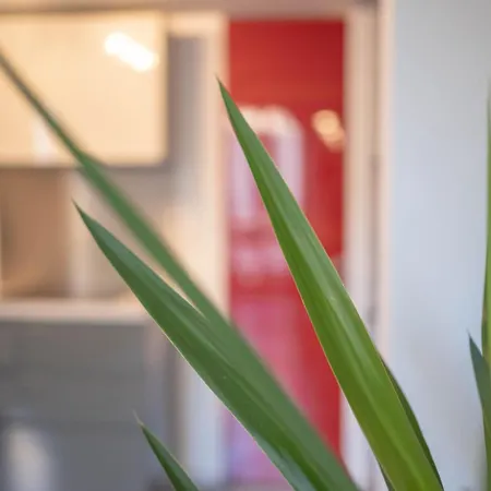 Apartment Marla Brera *